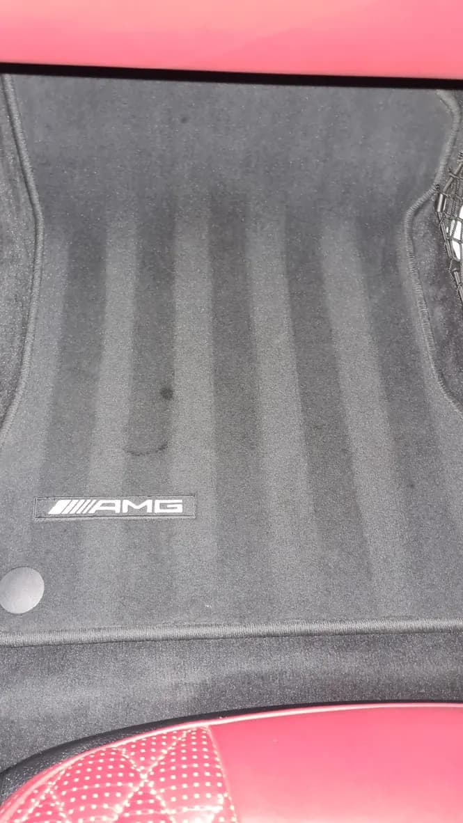 An AMG floor mat after extraction, the pile lifted and brushed to an even nap